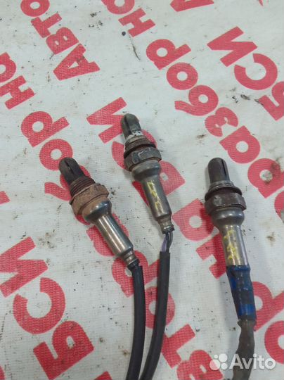 Датчики кислородный заз Sens 1