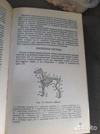 Служебная собака