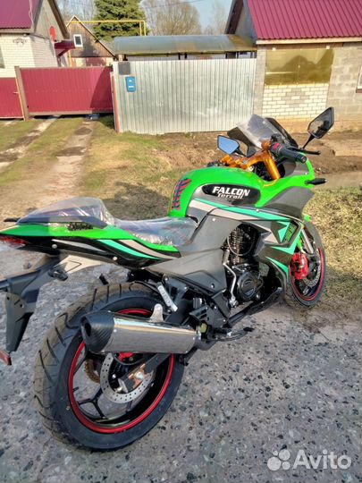 Falcon terrail 250