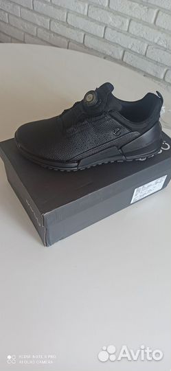 Ecco biom 2.0