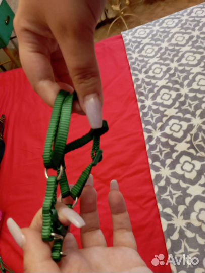 Шлейка для крупных попугаев