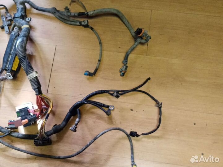 Коса моторного отсека Рено логан 1 1.4 8 клап