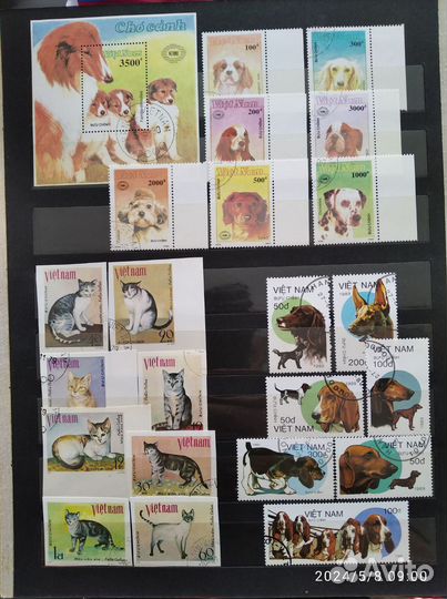 Марки собаки, кошки, животные и др