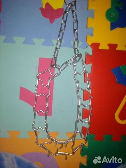 Строгий ошейник для собак