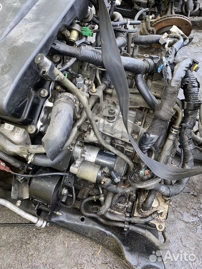 АКПП VQ35DE Nissan Murano Z50 310201XD16