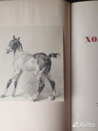 Холстомер. Л.Н.Толстой