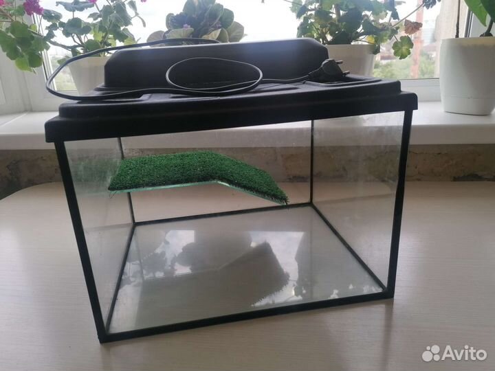 Террариум для черепах, рептилий