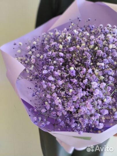 Букет из сиреневых гипсофил