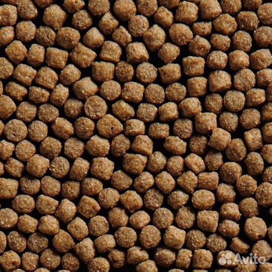 Корм для карпов Кои