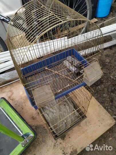 Клетка для птиц бу
