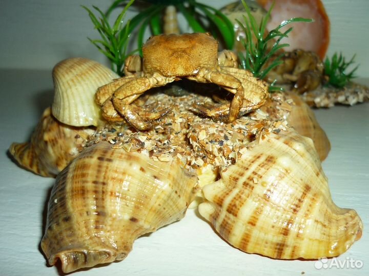 Фигурка для аквариума