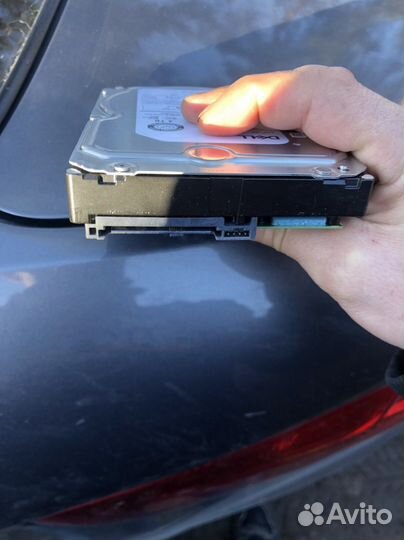 Жесткий диск для сервера