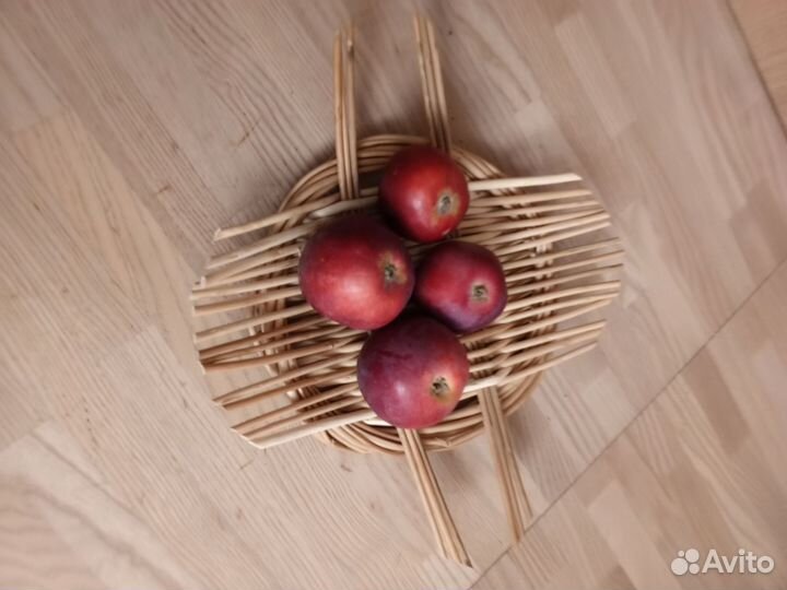 Тарелка из натуральной лозы