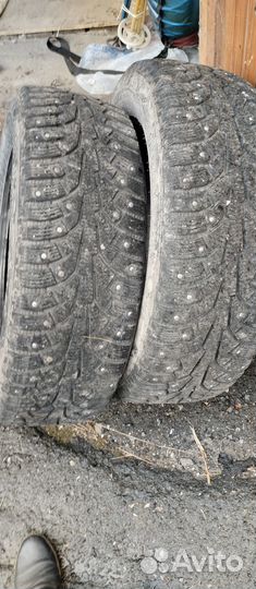 Nokian Tyres Hakkapeliitta 5 SUV 225/60 R18 104T