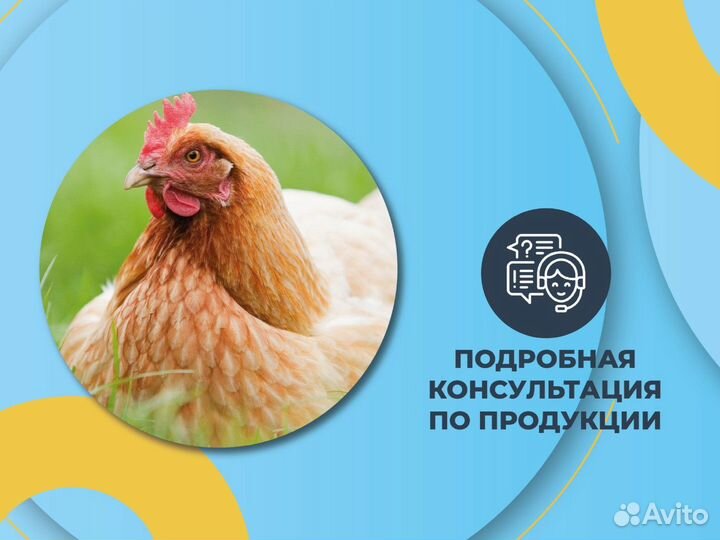 Комбикорм для несушек