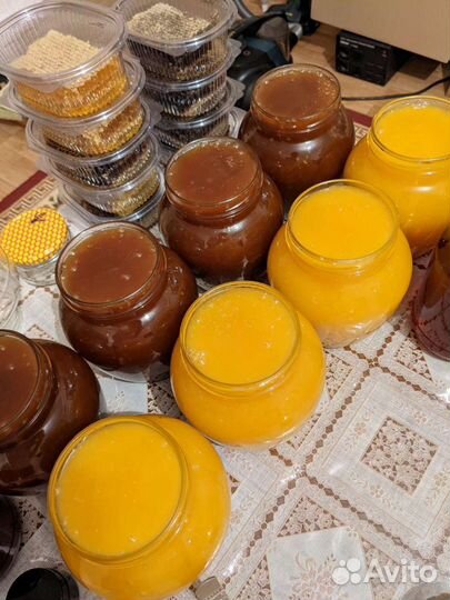 Мед Гречневый - 2023 года