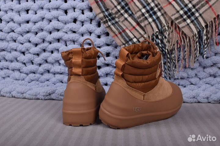 UGG оригинал