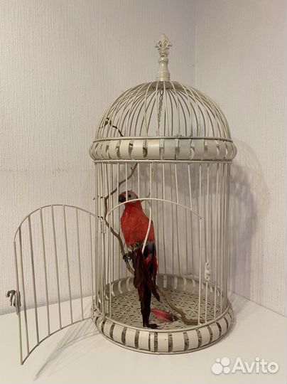 Клетка декоративная