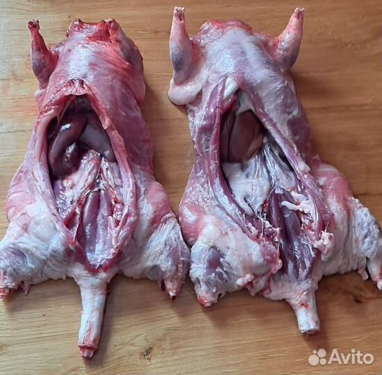 Мясо нутрии