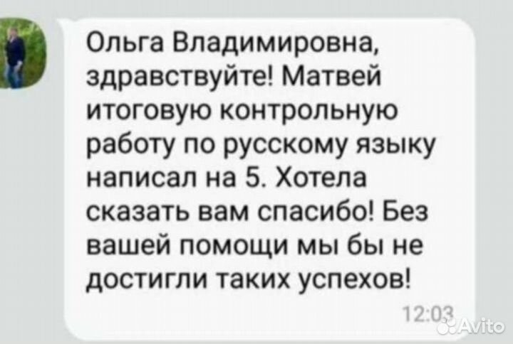 Репетитор по русскому языку, впр, огэ