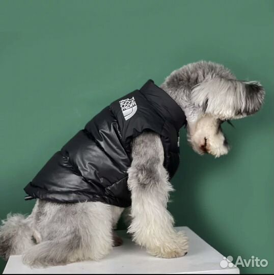 Зимняя куртка для собаки