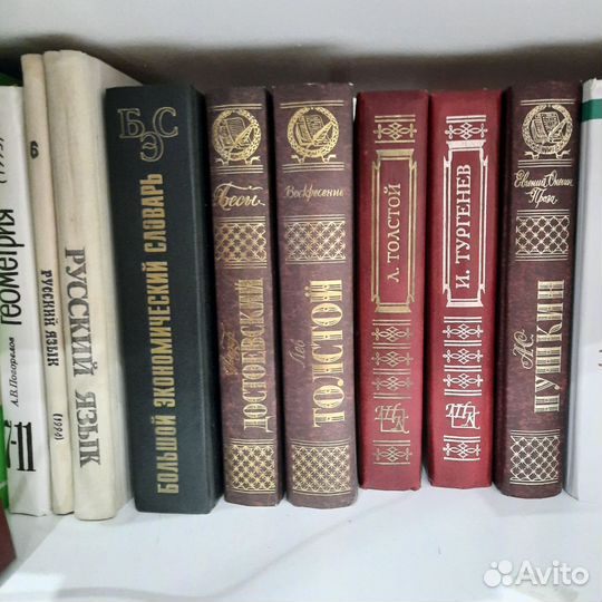 Книги русская классика школьная литература