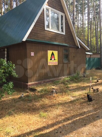 Участок 91,8 сот. (СНТ, ДНП)