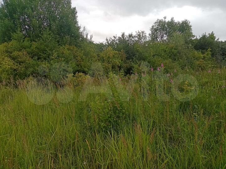 Участок 31,7 сот. (ИЖС)