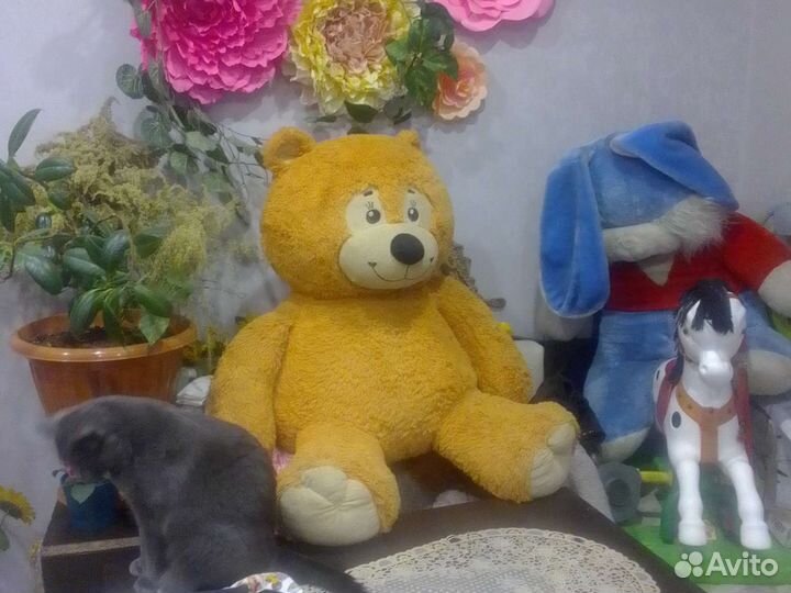 Мишка плюшевый