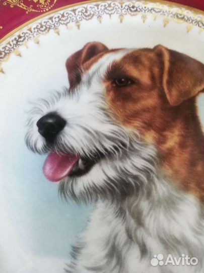 Старинные декоративные тарелки. Франция