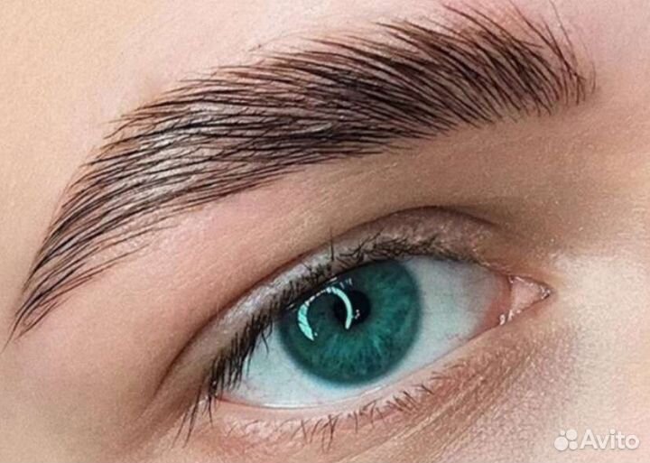 Модели на брови, реснички (лами) в Петергофе