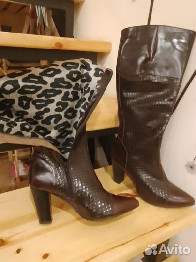 Сапоги осень весна женские