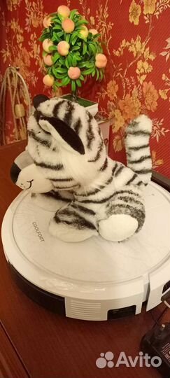 Тигренок белый