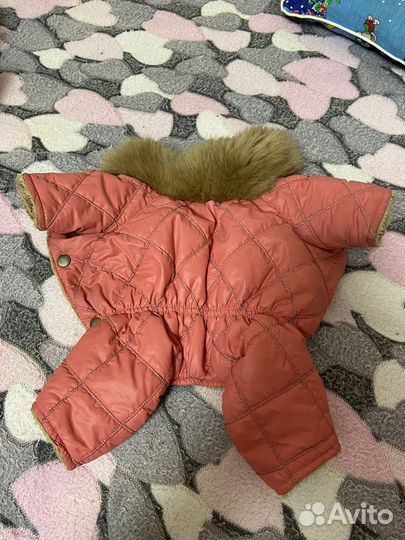 Зимний костюм для собак мелких пород