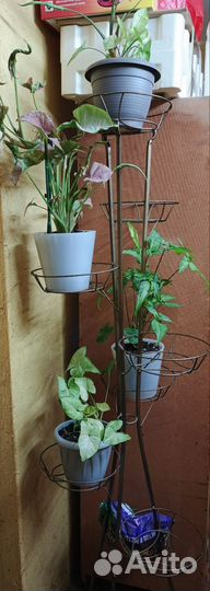 Стойка со цветами