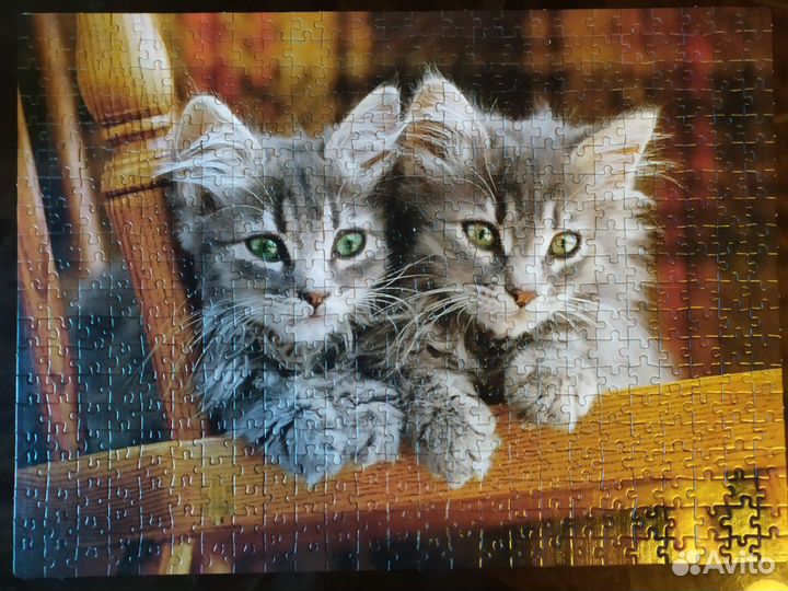 Пазлы 500 деталей