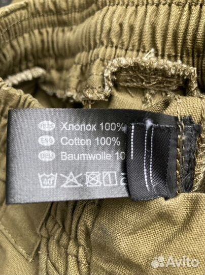 Инцефалитка