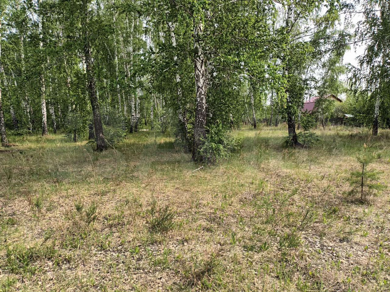 Участок 10 сот. (ИЖС)