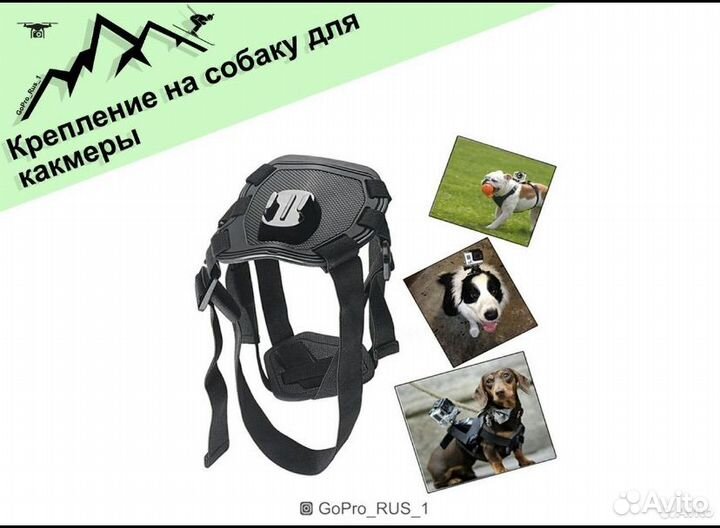 Крепление для экшн камеры gopro на собаку