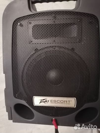 Escort 3000 portable audio system