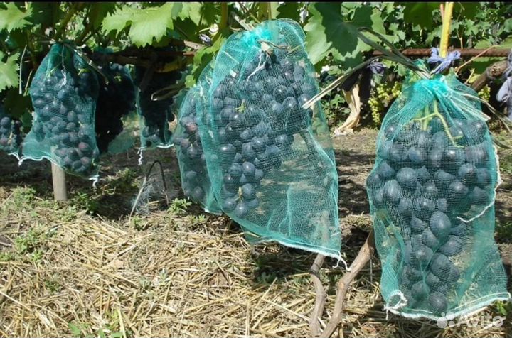 Мешочки для винограда от ос