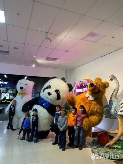 Медведь поздравление