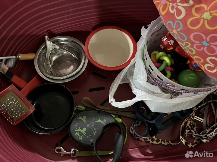 Корзинка с матрасом, для не большой собачки