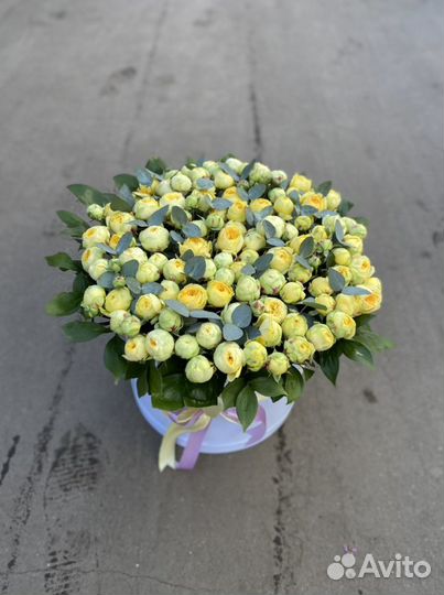 Пиано видное Роза