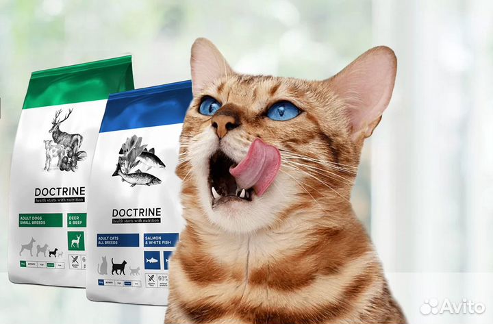 Doctrine, супер-премиальный корм для кошек и собак