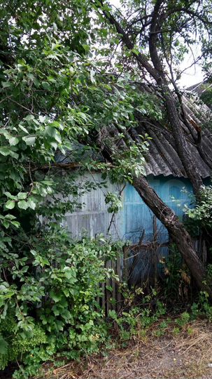 Дача 20 м² на участке 4 сот.