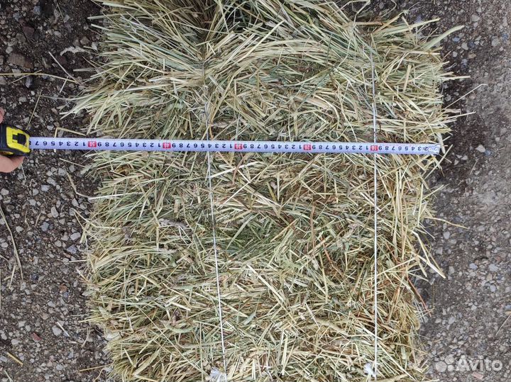 Сено для кроликов