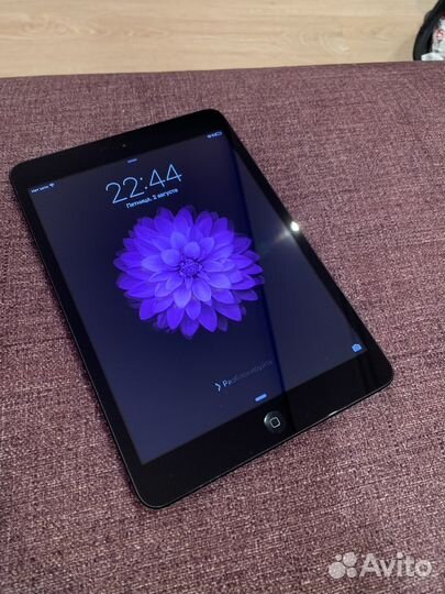 iPad mini 1
