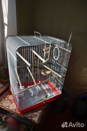 Большая клетка для птиц