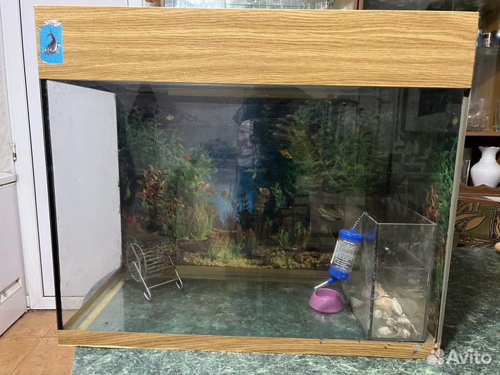 Аквариум
